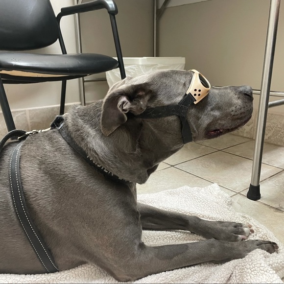 Meet your Posher, Jen - Picture 2 of 3